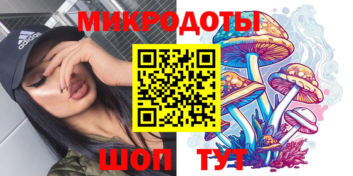 Ишим  Галлюциногенные грибы Psilocybe  Вход с VPN 